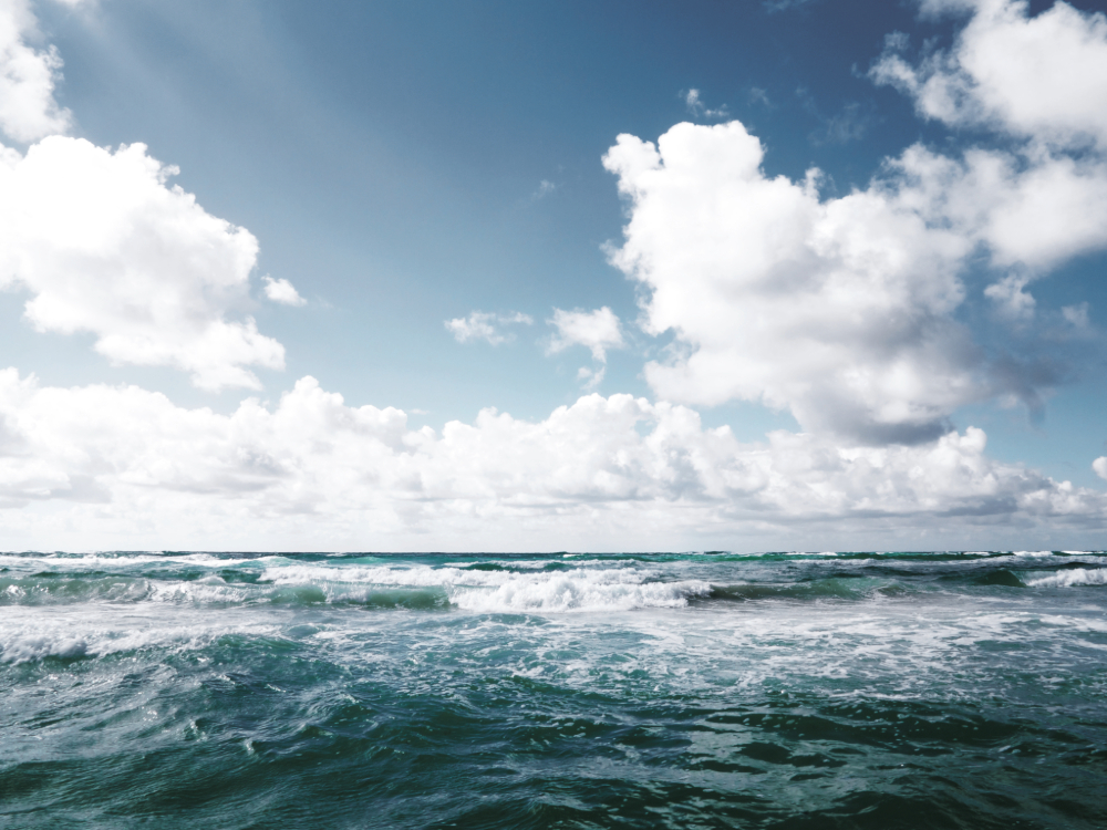 Adobe Express file 3 Apotheke in Barth